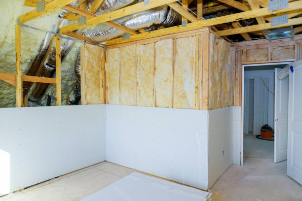 Best Geographic-Specific Insulation Services in Holmen, WI