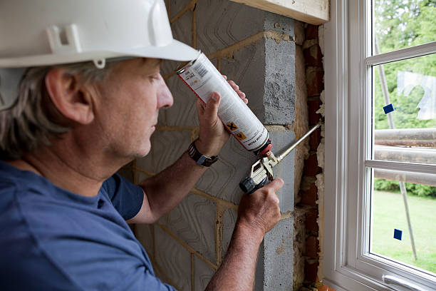 Best Cellulose Insulation in Holmen, WI